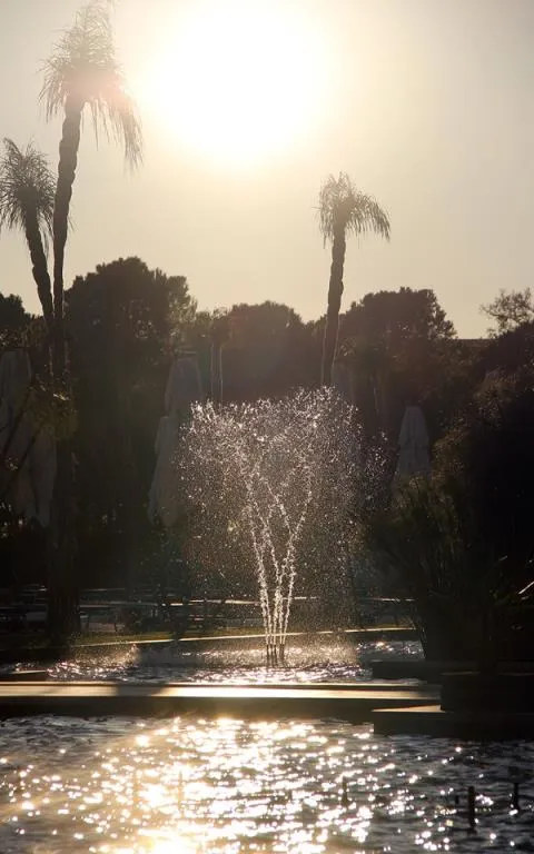 AquaSPIN