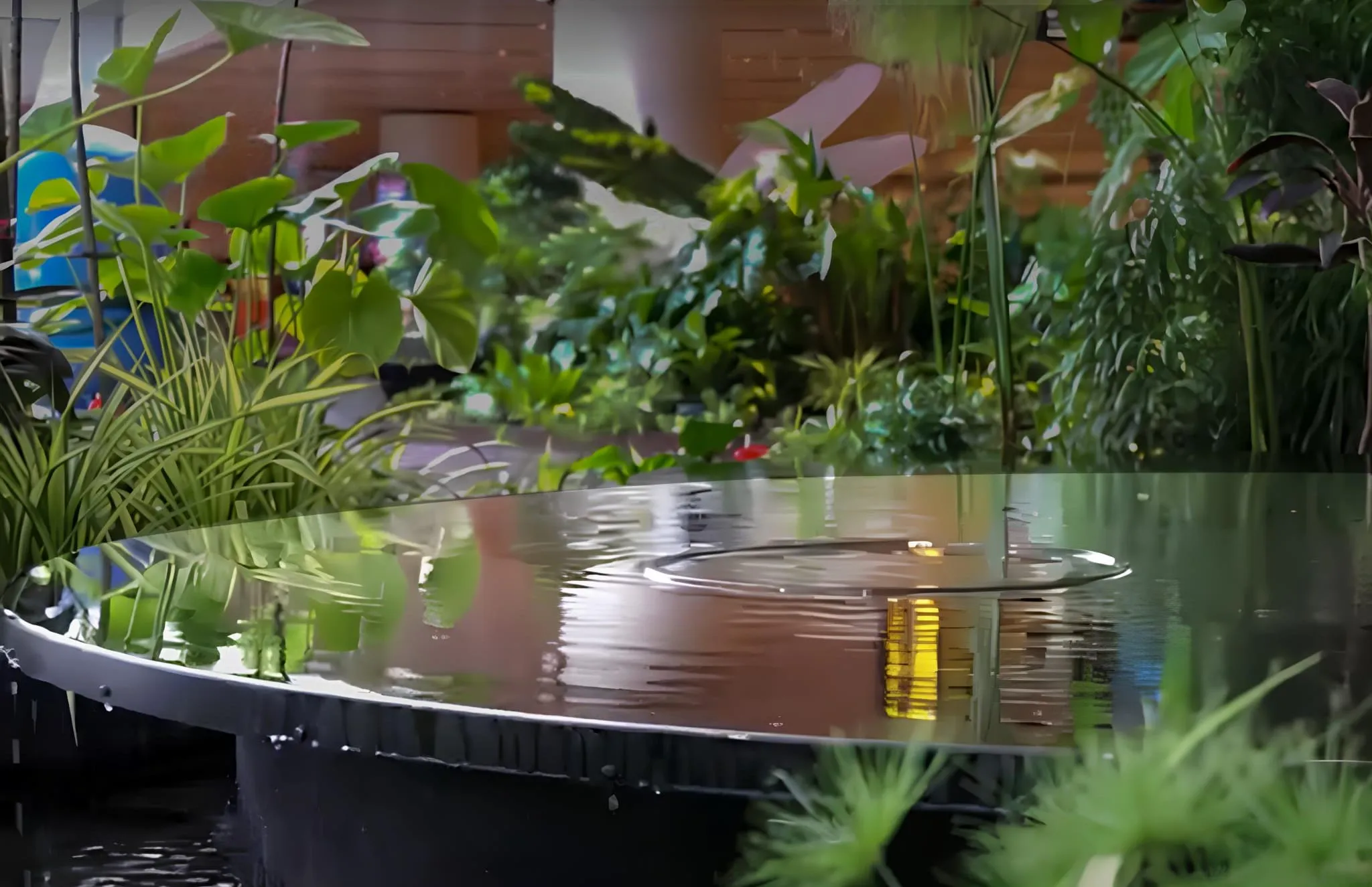AquaPULSE in operation
