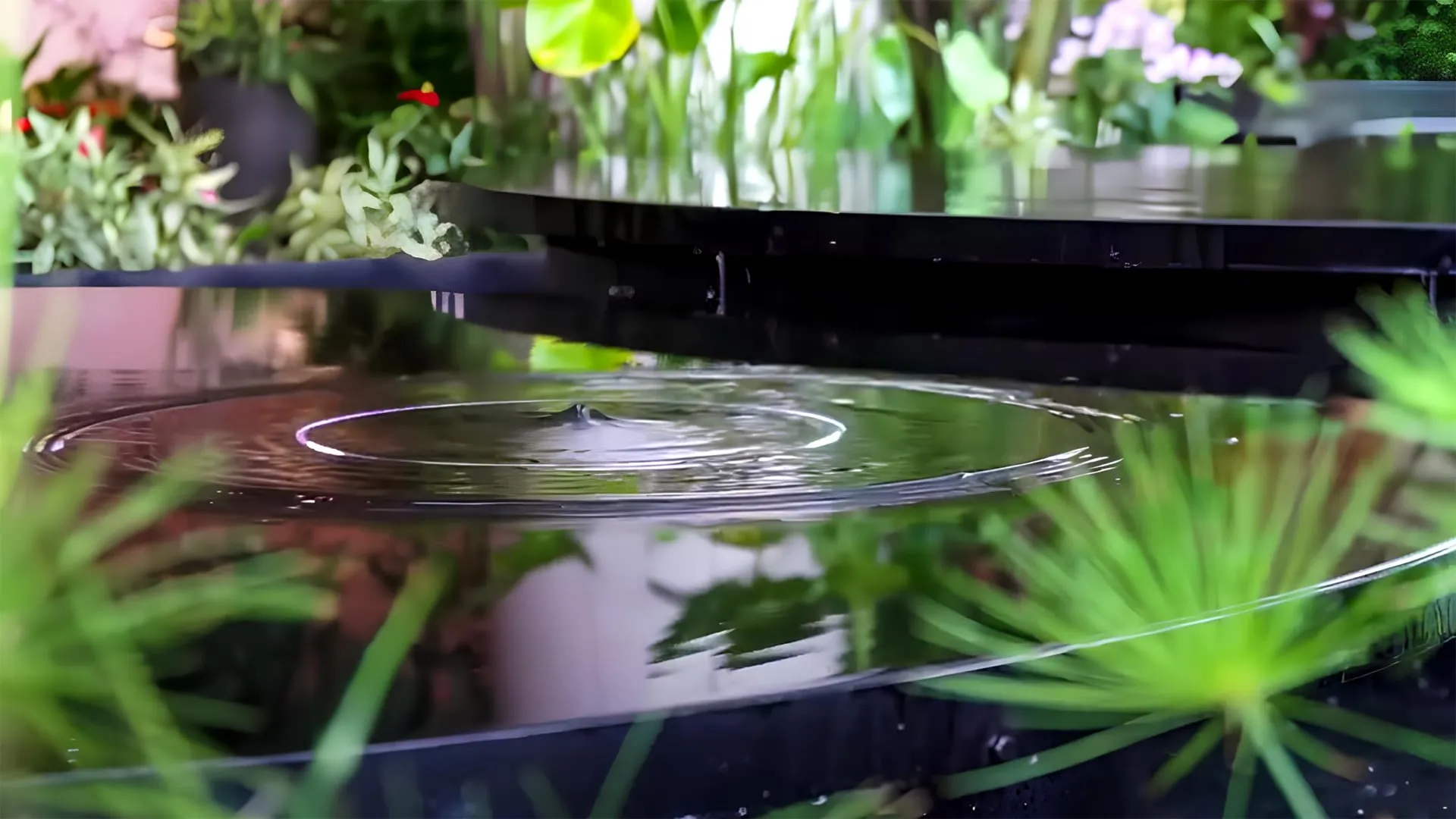 AquaPULSE