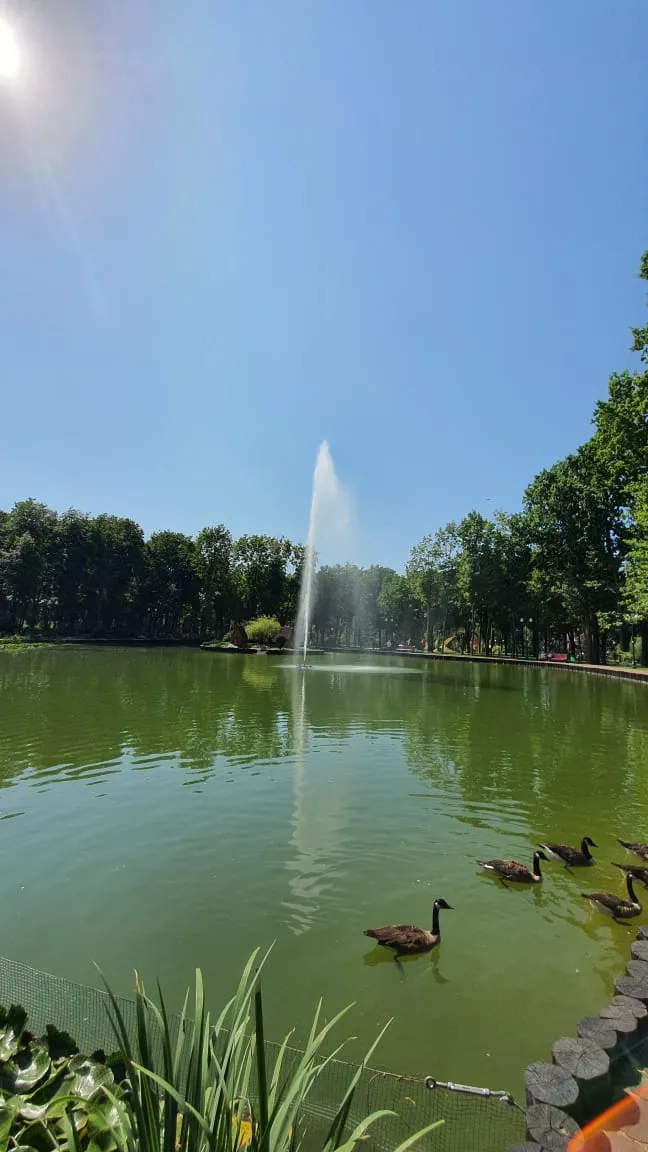 Central Park, Kharkiv