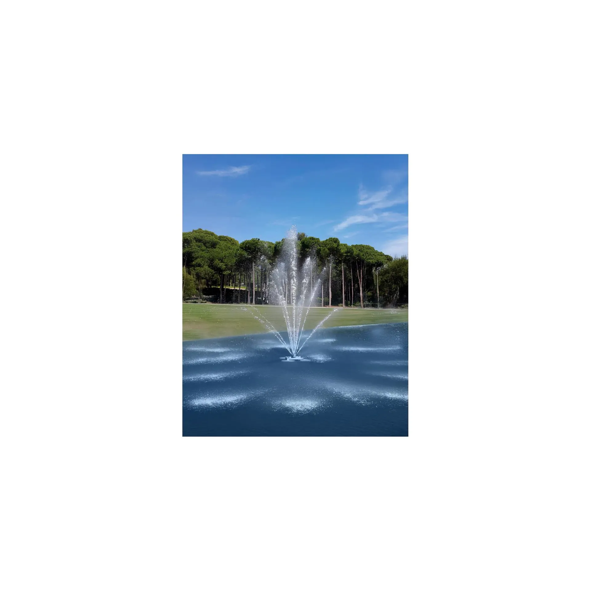 AquaFLOAT QUADRO