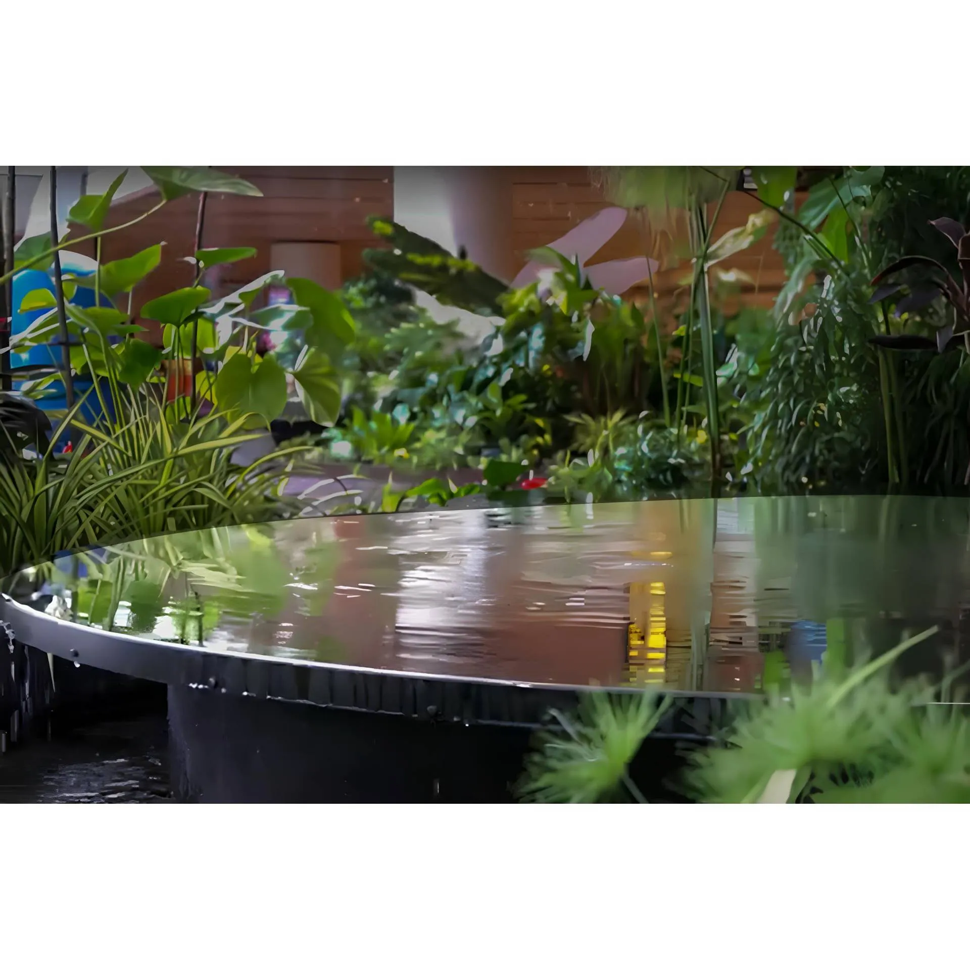 AquaPULSE