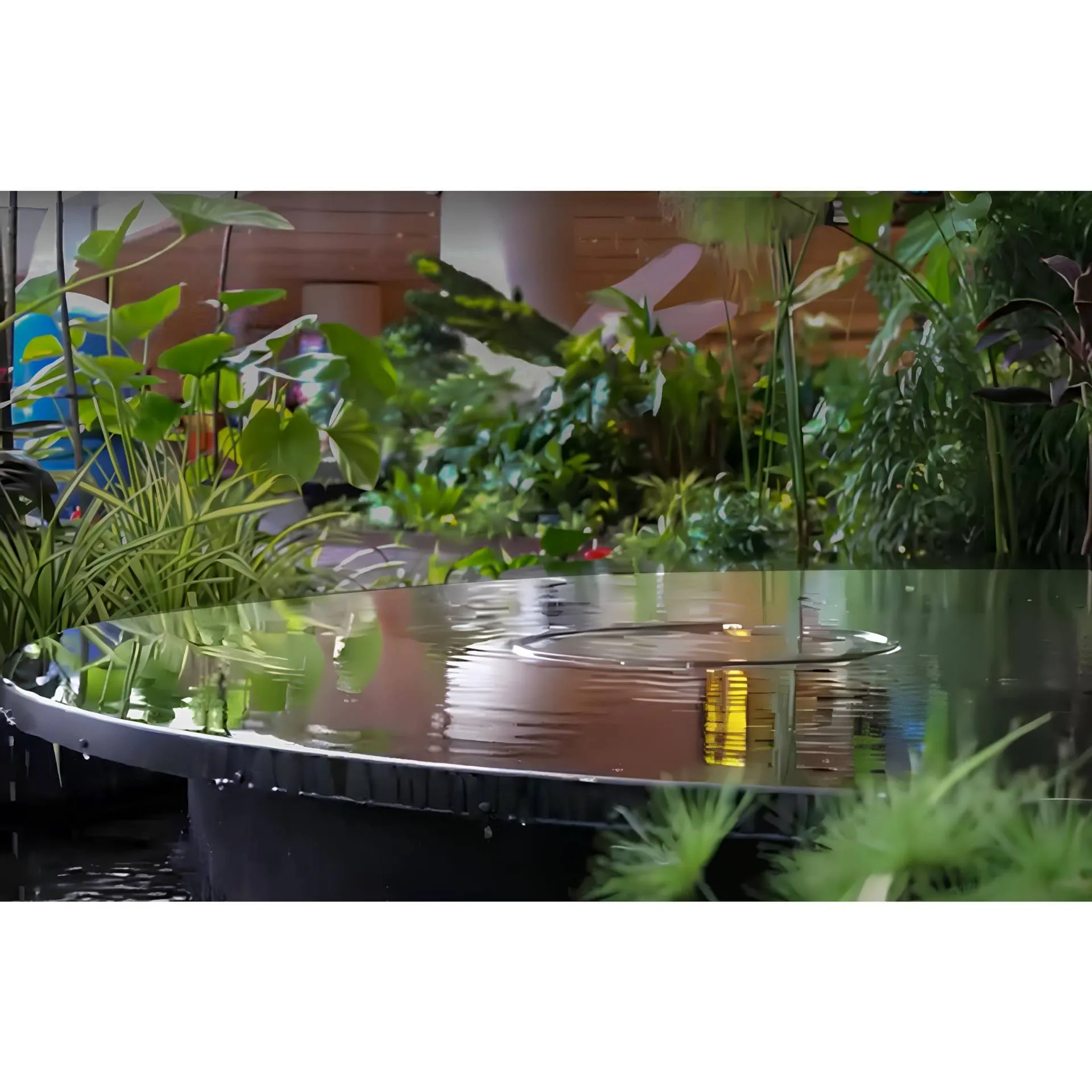 AquaPULSE