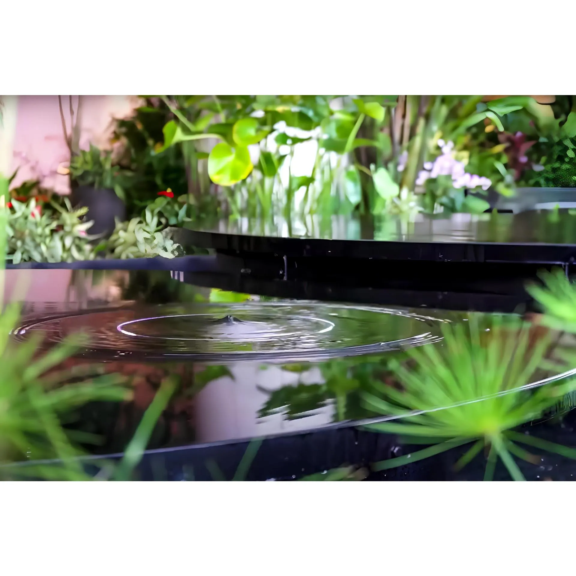AquaPULSE