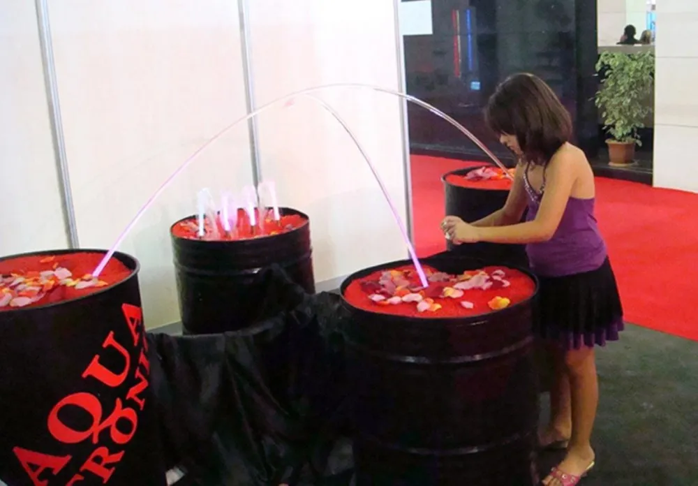 YAPEX 2009